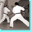 Kempo Dankan technique in practice